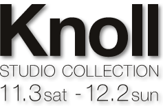 knoll_logo.gif